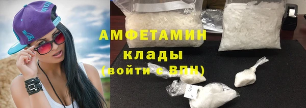 шишки Арсеньев