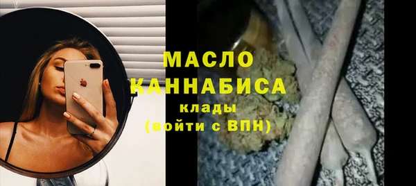 индика Армянск