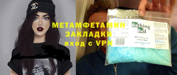 шишки Арсеньев