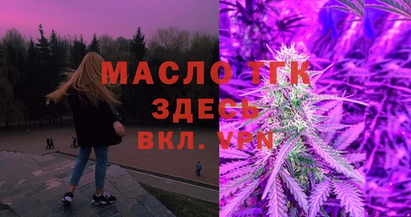 индика Армянск