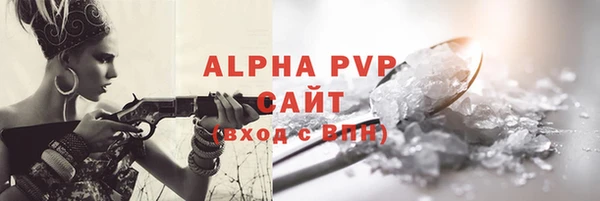 шишки Арсеньев