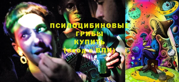 индика Армянск