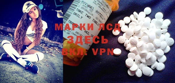 индика Армянск