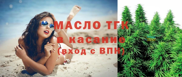 индика Аркадак