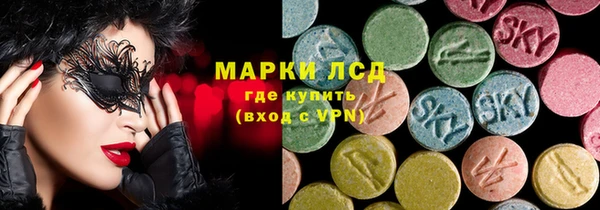 шишки Арсеньев