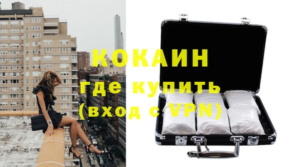 шишки Арсеньев