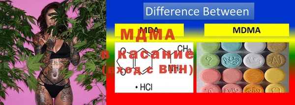 индика Аркадак