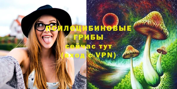 шишки Арсеньев