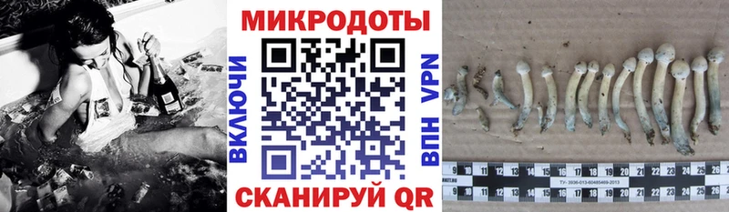 где найти наркотики  Ульяновск  Галлюциногенные грибы Cubensis 